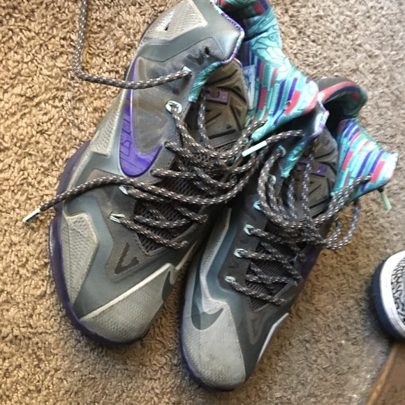 Shoes Jordan 3s and Lebron 11s - Picture 5 of 5